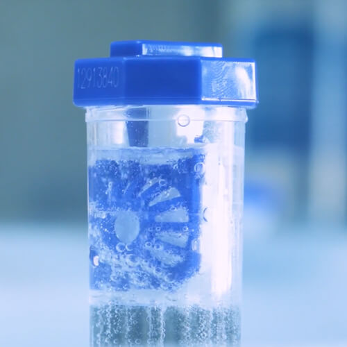 Lęšiai, mirkstantys burbuliuojančiame peroksido tirpale