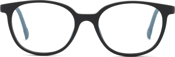 Active Clip on F 0655 48 202 000 F 48 (clip-on)