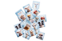 Lentiamo atminties žaidimas (premija)