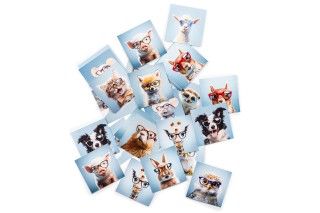 Lentiamo atminties žaidimas (premija)