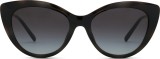Emporio Armani EA 4213U 50171W 53 (prisegami) 36744