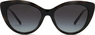 Emporio Armani EA 4213U 50171W 53 (prisegami) 36744