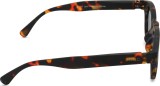 Izipizi Sun Junior #C Tortoise (7 - 11 metų amžiui) 47223
