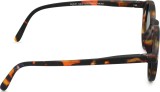 Izipizi Sun Kids #D Tortoise (nuo 3 iki 5 metų) 47175