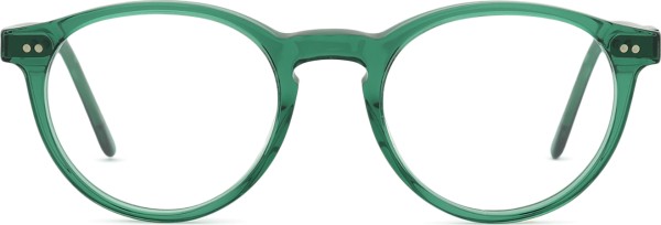 Polo Ralph Lauren 0PH2083 6084 48