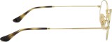 Ray-Ban Oval 0RX3547V 2500 48 41063