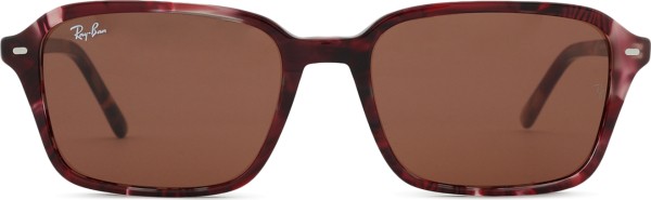 Ray-Ban Raimond RB2231 1416C5 56