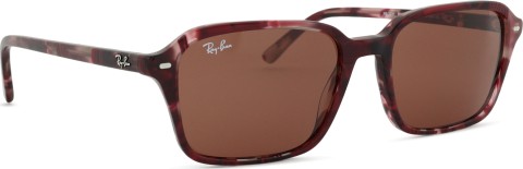 Ray-Ban Raimond RB2231 1416C5 56