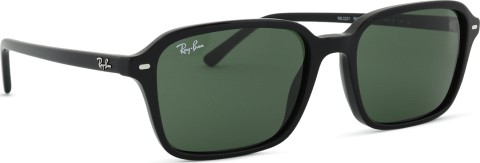 Ray-Ban Raimond RB2231 901/31 56
