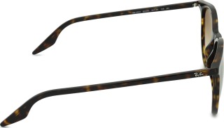 Ray-Ban RB2204 902/51 37445