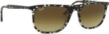 Ray-Ban RB2216 143185 58