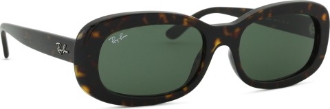 Ray-Ban RB2221 902/31 56