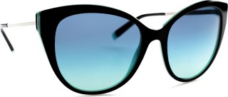 Tiffany & Co. TF4166 80559S 55