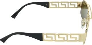 Versace 0VE 2257 100273 60